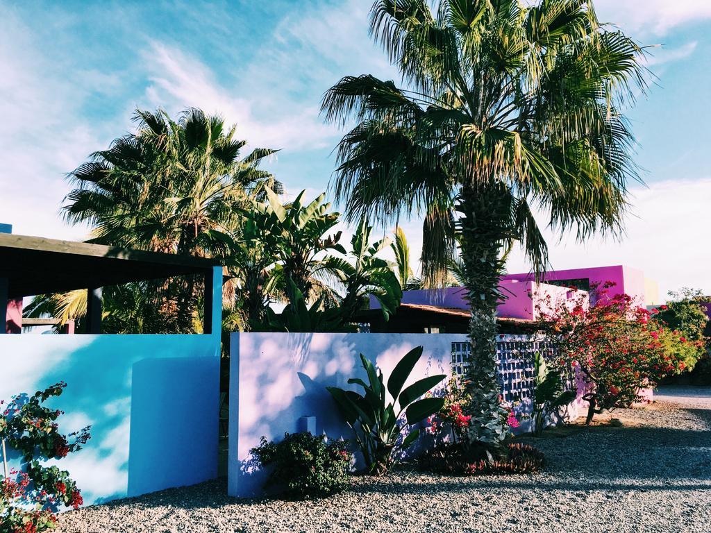 The Hotelito Todos Santos Eksteriør bilde