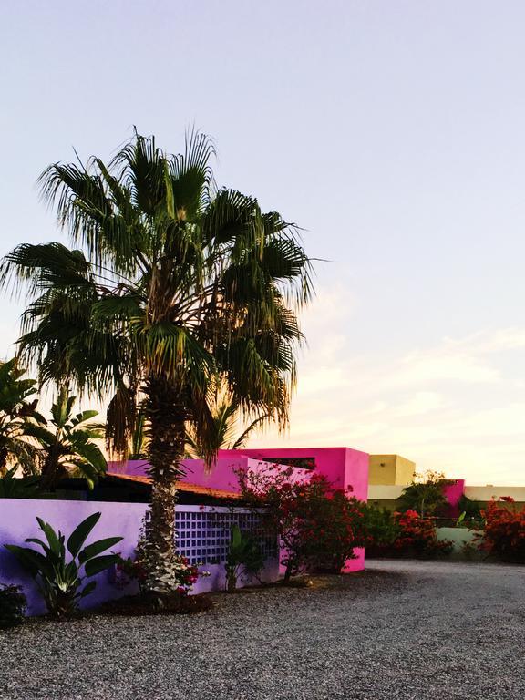 The Hotelito Todos Santos Eksteriør bilde